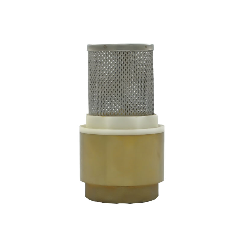 How to Test the Functionality of a Check Valve?
